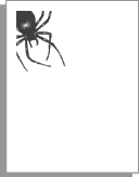 Halloween stationery border. Spider. Download stationery and letterhead.