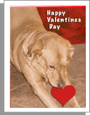 golden lab valentine card